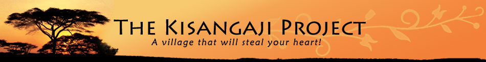 The Kisangaji Project - A village that will steal your heart!